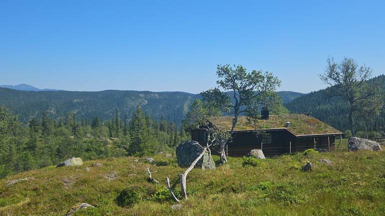 Ferienhaus mit Hund in Grunge, Norwegen Südnorwegen f&uuml;r max. 6 Personen