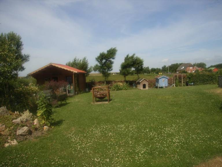 foto5