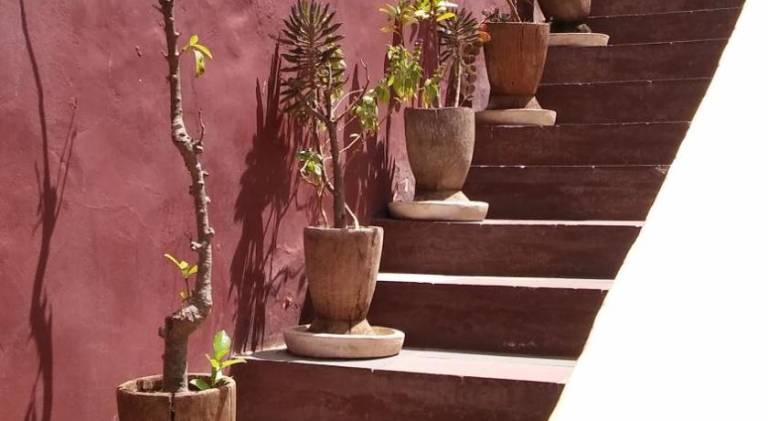 Maison Augustin LY — photo 5