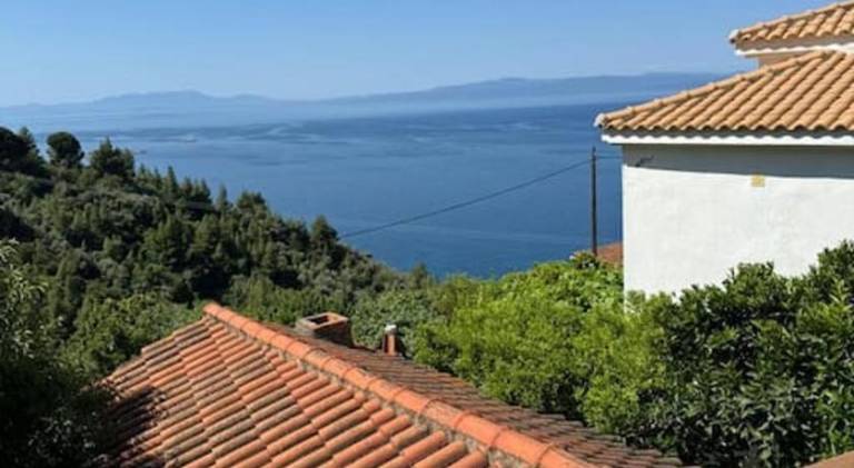 Pleasant vacation home with terrace & BBQ | Good for workation | Pets allowed in Skopelos