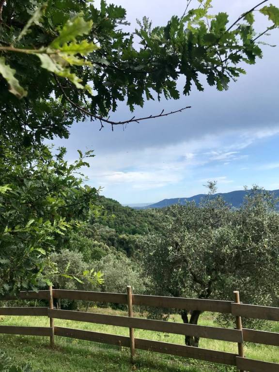 foto21