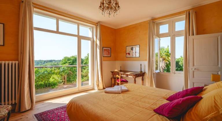 Chateau avec une vue sur la Loire — photo 2
