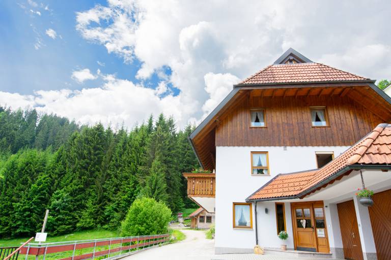 Ferienwohnung  Schonach im Schwarzwald