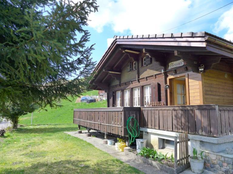 foto5
