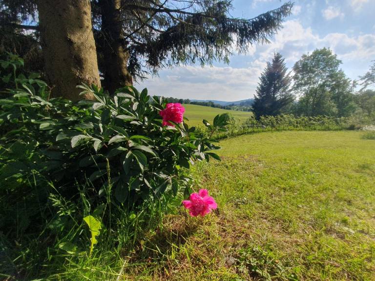 foto20