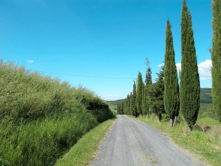 foto43