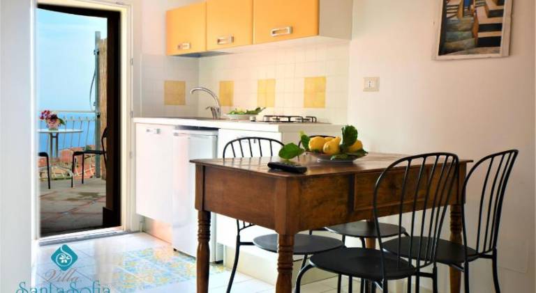 Serviced apartment with terrace, yard & jacuzzi — photo 5