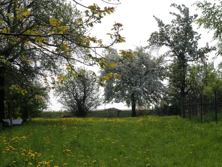 Landhaus  Hohenwarte