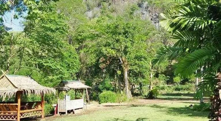 foto1