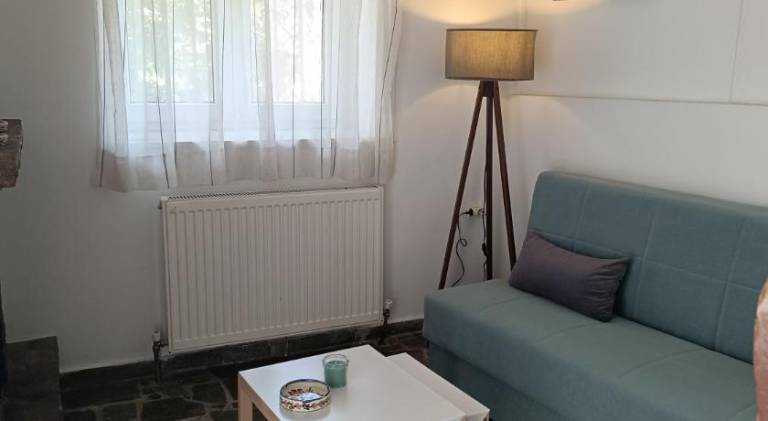 Apartment with patio | Pet-friendly — photo 2