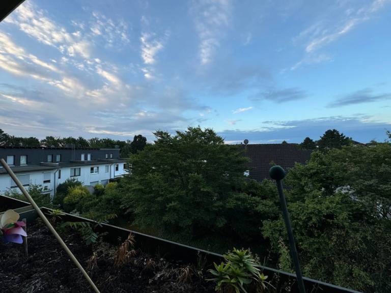 foto11