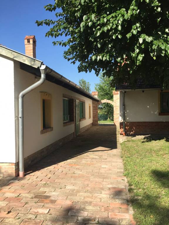Apartman Domaszék