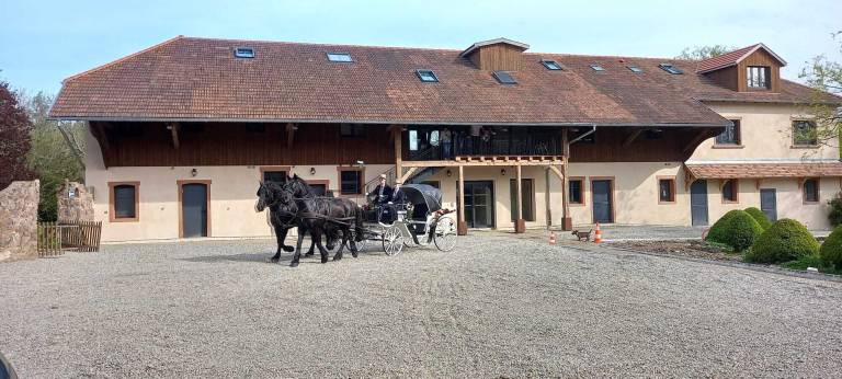 Appartement Cernay
