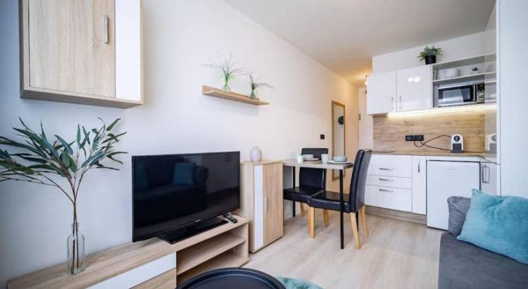 Apartment with 1 room for 2 persons in Kosice
