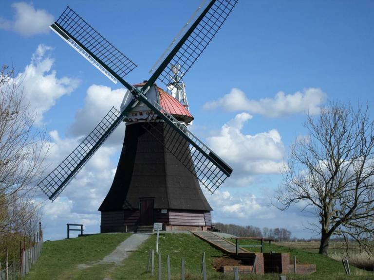 foto19