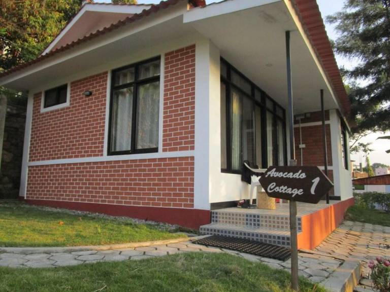 foto16