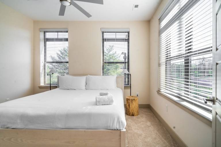 Apartment  Downtown