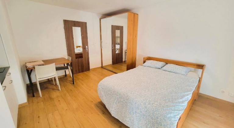City Center Zurich Downtown Apartments next to Zurich HB Main Train Station NEU - Self Checkin — photo 3