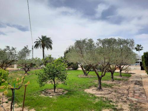 Villa Elche