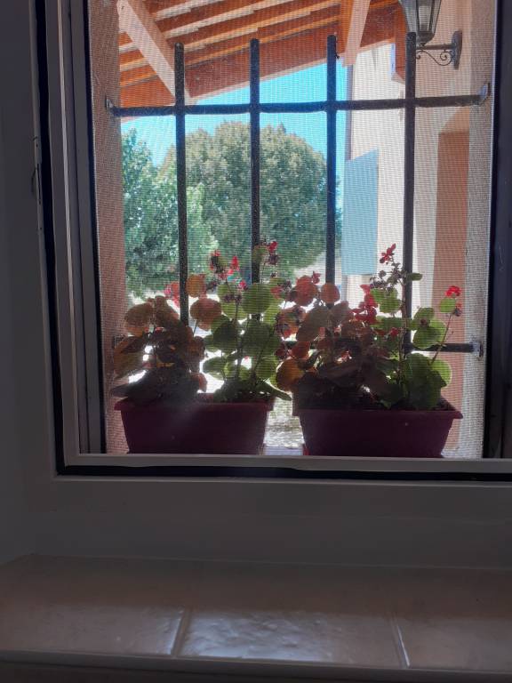foto31