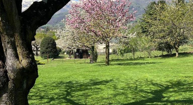 foto16