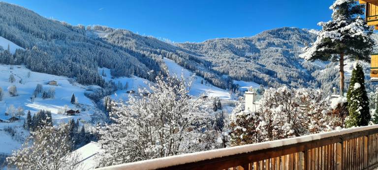 Royal Mountain Lodge — photo 5