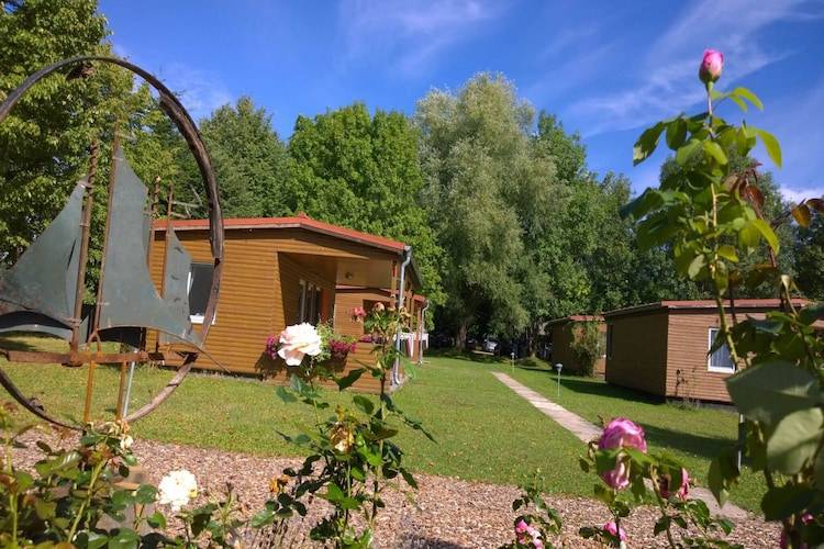 Ferienhaus mit Hund in Lütow, Usedom, Deutschland