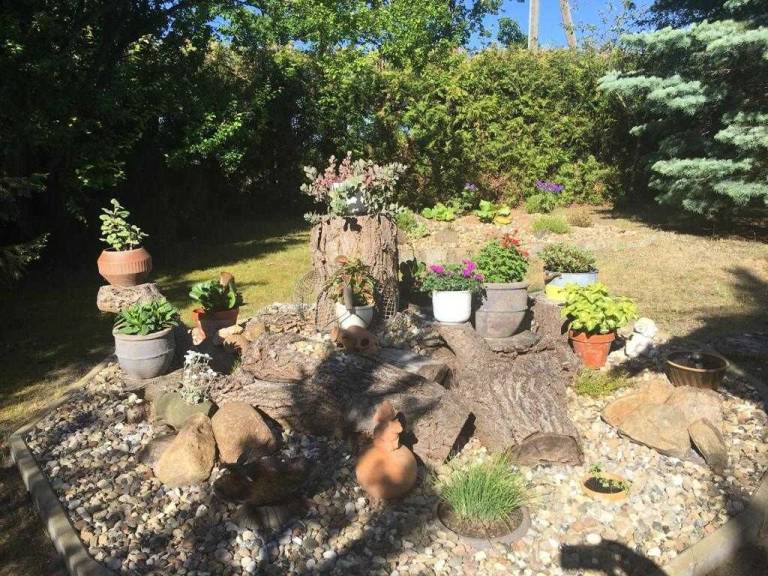 foto36