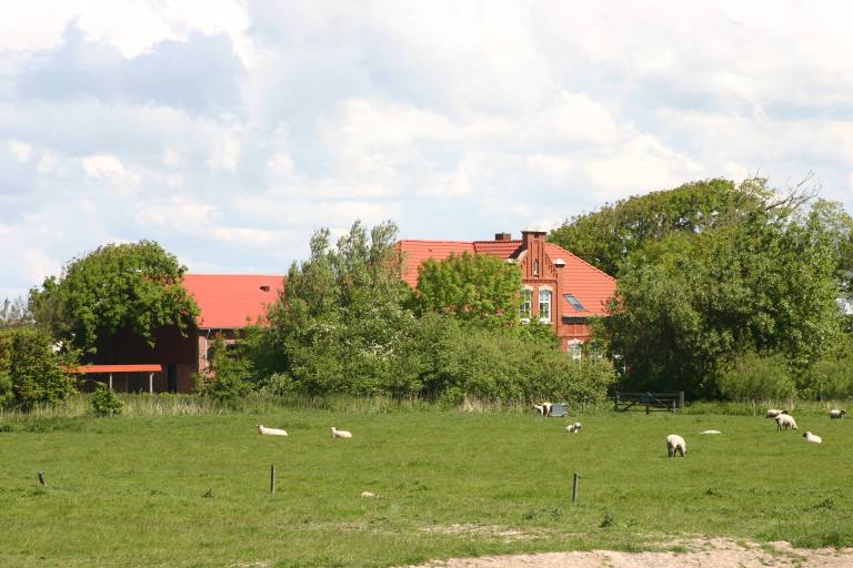 Studio Hooge