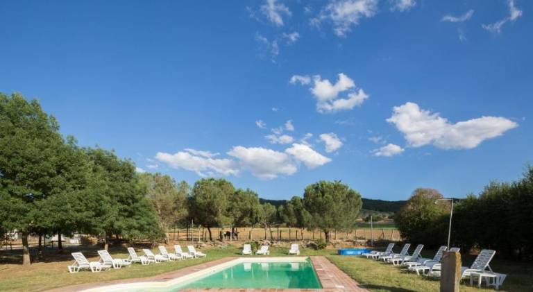 Farm with pool & garden — photo 3