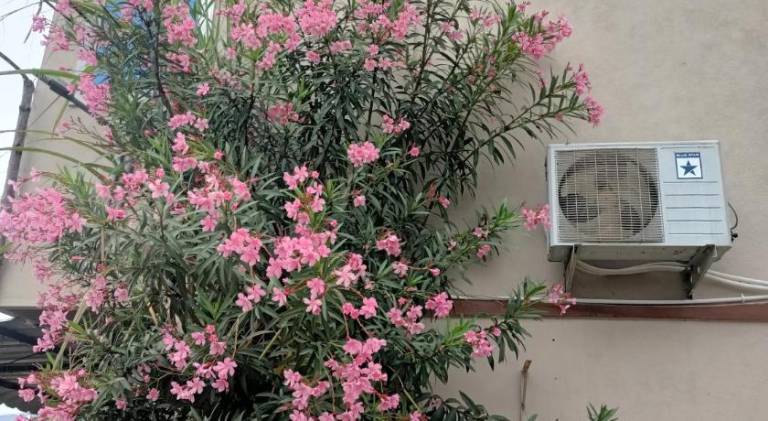 foto17