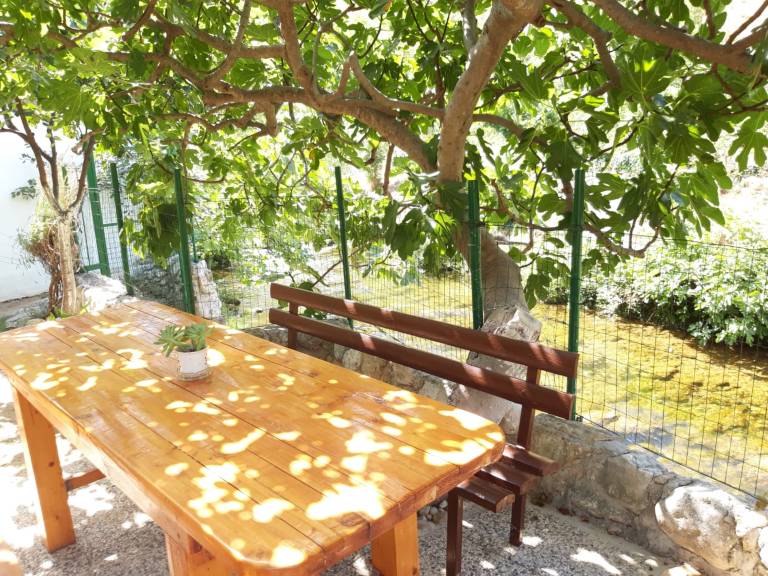 House with garden & barbecue — photo 4