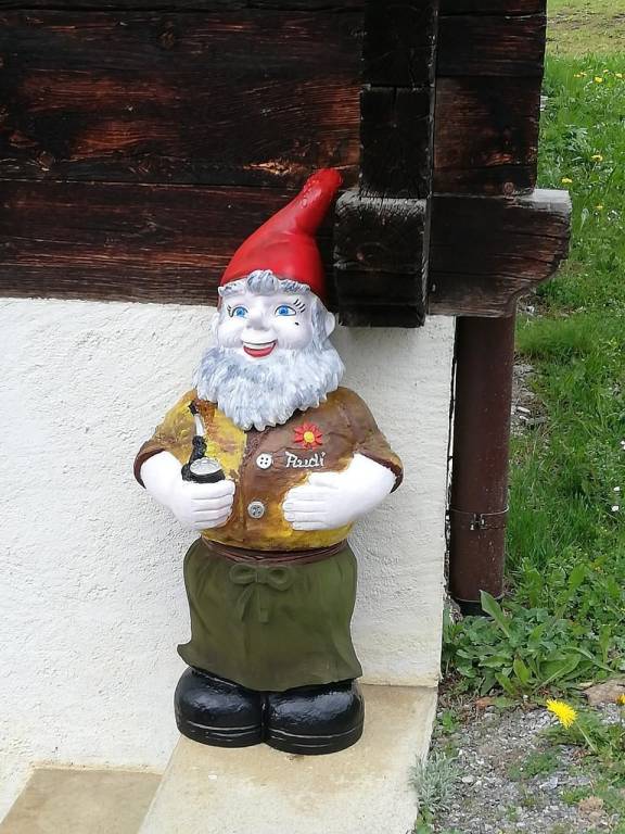foto41