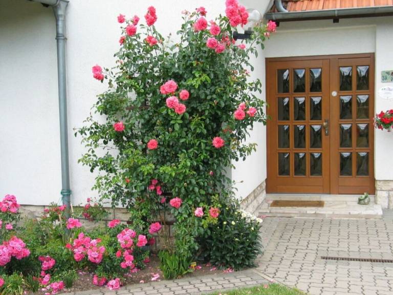 Ferienhaus  Bad Langensalza