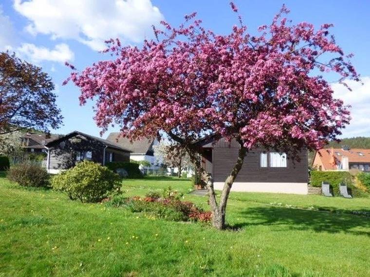 Ferienhaus Holenberg