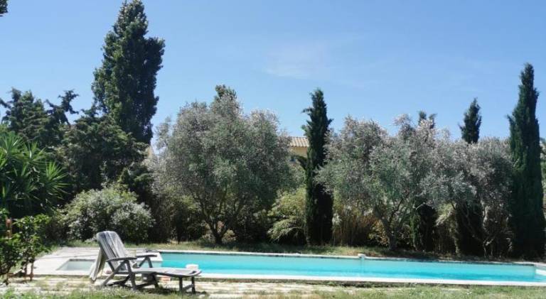 La verdine — photo 2