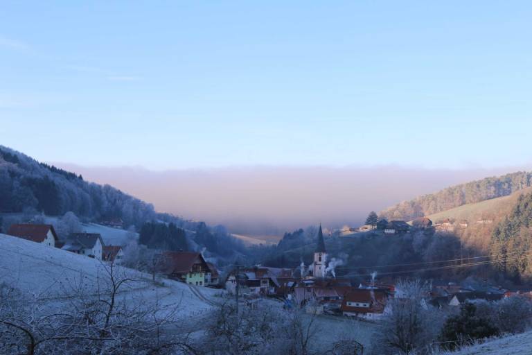 Bauernhof Schuttertal