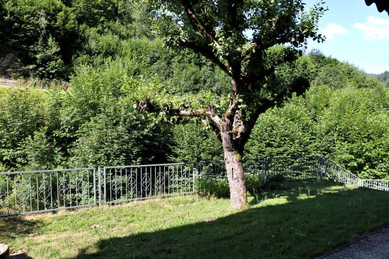 foto16