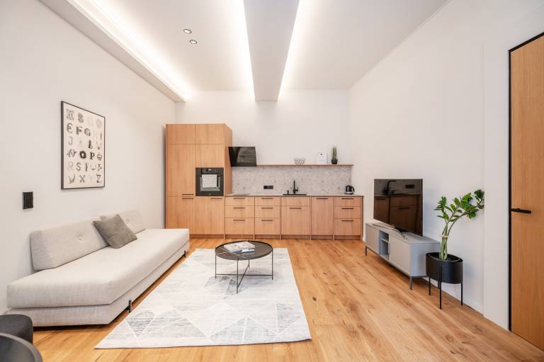 Apartamento Senamiestis