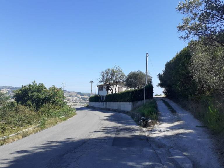foto2