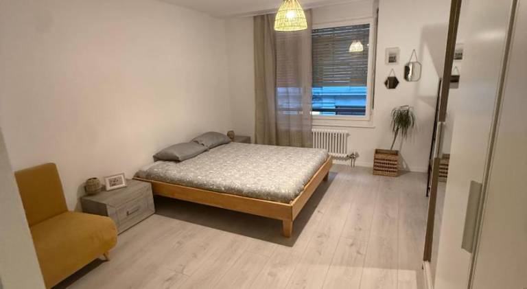 Charming apartment | Pets are welcome in Lausanne