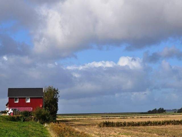 foto19