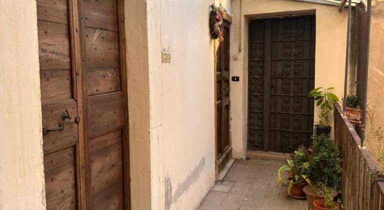 Lovely holiday apartment | Pets are welcome — photo 5