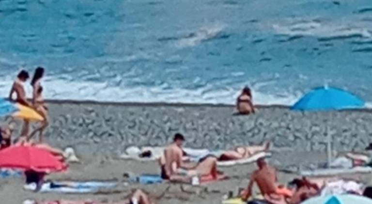 Holiday apartment with 2 rooms for 5 persons in Celle Ligure