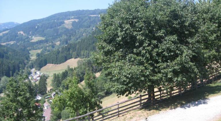 foto10
