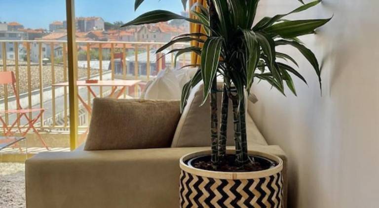 Rental apartment | Next to the beach | Pet-friendly — photo 4