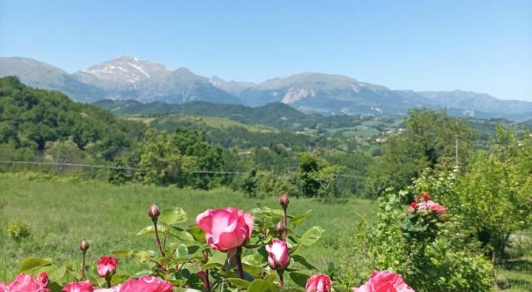 Bed & Breakfast Montefortino