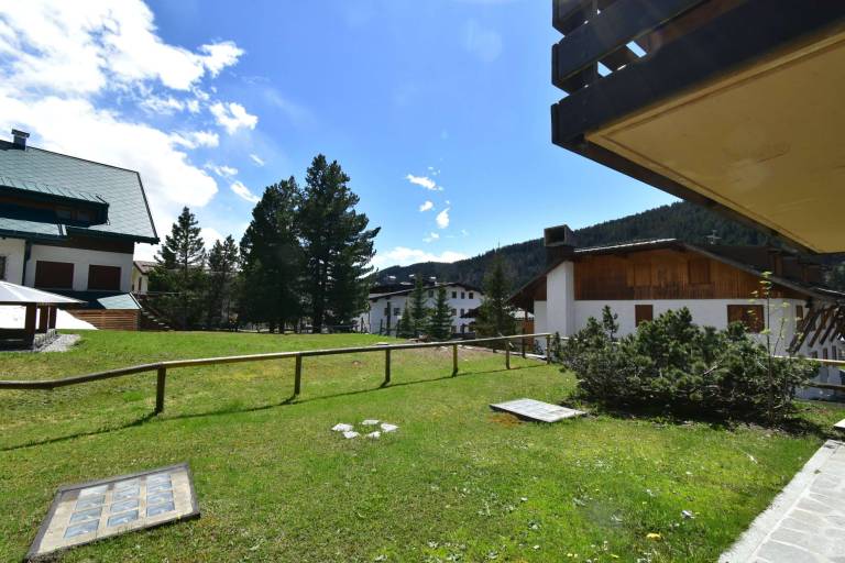 foto11
