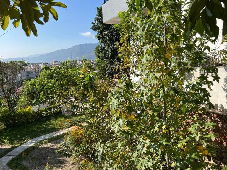 foto43