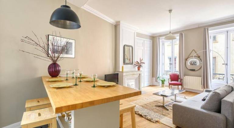 Pleasant rental apartment | Next to Place Bellecour | Dogs allowed in Lyon